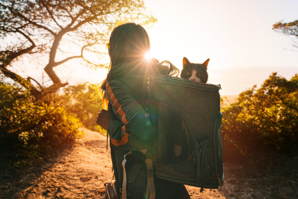 Mulher caminhando ao ar livre com um gato em mochila de transporte durante viagem ao pôr do sol