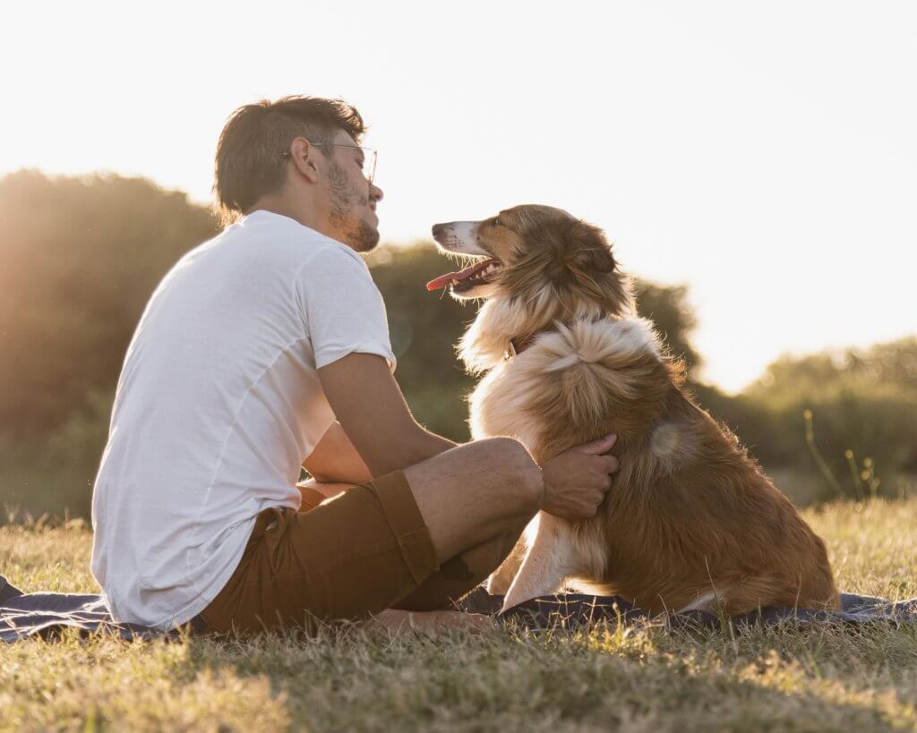 Homem sentado na grama ao entardecer olhando nos olhos de seu cachorro Border Collie marrom e branco. Mostra que o cachorro sente tristeza do dono.